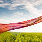05 -13 December: The Life Transformation Retreat with Lydia